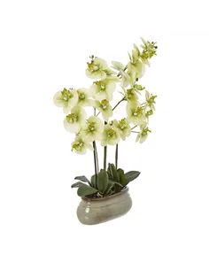 Hill Interiors Large Green Orchid In Ceramic Pot 23759 2