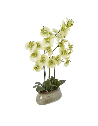 Hill Interiors Large Green Orchid In Ceramic Pot 23759