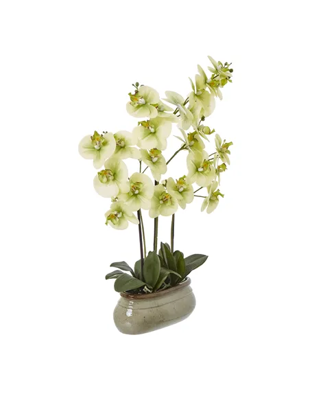 Hill Interiors Large Green Orchid In Ceramic Pot 23759