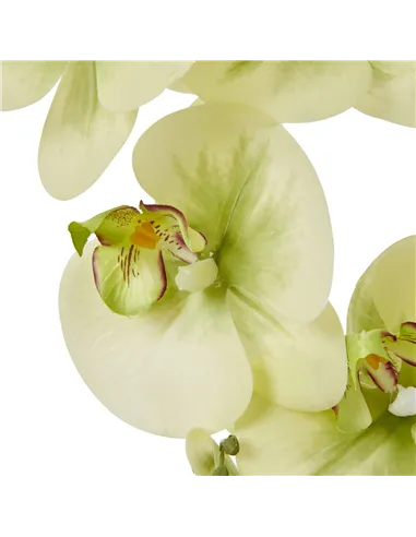 Hill Interiors Large Green Orchid In Ceramic Pot 23759