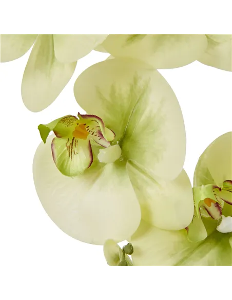 Hill Interiors Large Green Orchid In Ceramic Pot 23759