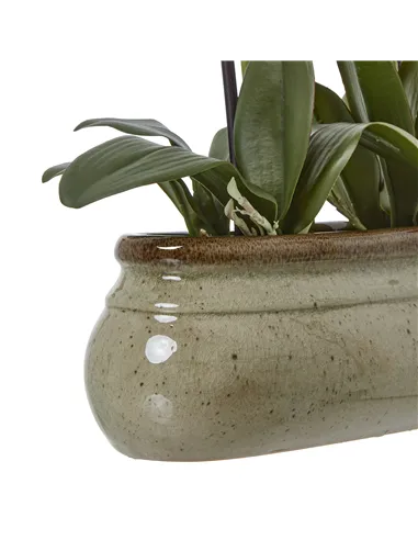 Hill Interiors Large Green Orchid In Ceramic Pot 23759