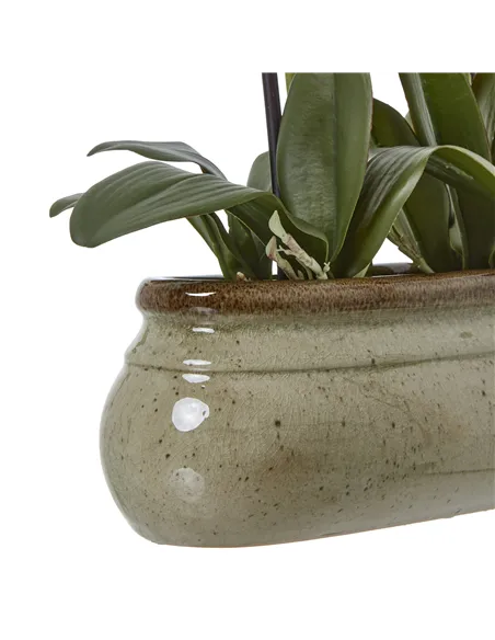 Hill Interiors Large Green Orchid In Ceramic Pot 23759