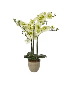 Hill Interiors Extra Large Green Orchid In Ceramic Pot 23761