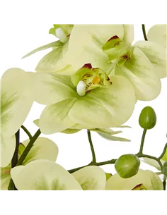 Hill Interiors Extra Large Green Orchid In Ceramic Pot 23761 2