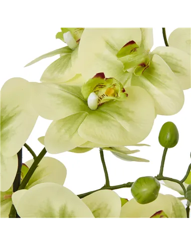 Hill Interiors Extra Large Green Orchid In Ceramic Pot 23761