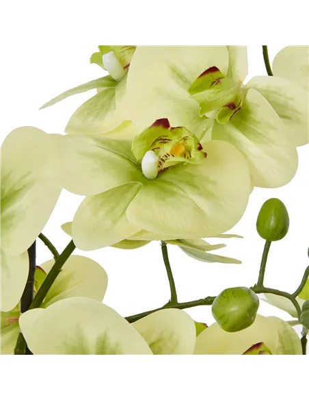 Hill Interiors Extra Large Green Orchid In Ceramic Pot 23761