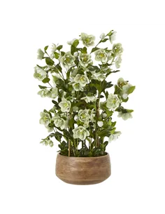 Hill Interiors Large Green Hellebore in Taupe Pot 23766