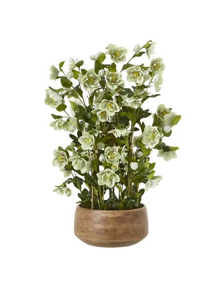Hill Interiors Large Green Hellebore in Taupe Pot 23766