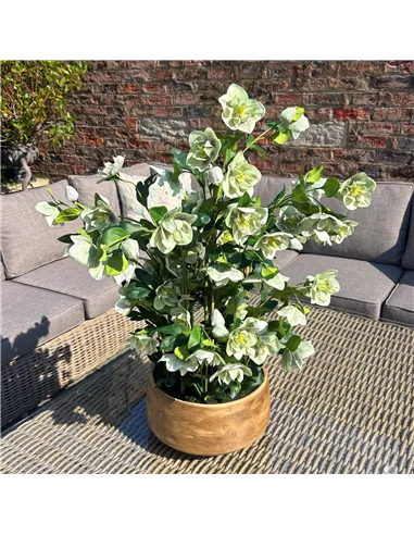 Hill Interiors Large Green Hellebore in Taupe Pot 23766