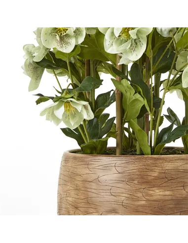 Hill Interiors Large Green Hellebore in Taupe Pot 23766