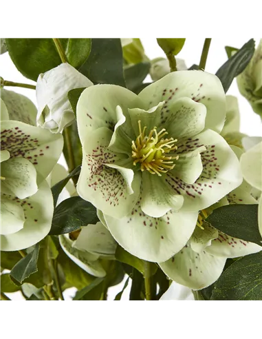 Hill Interiors Large Green Hellebore in Taupe Pot 23766