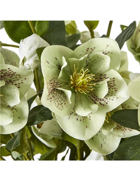 Hill Interiors Large Green Hellebore in Taupe Pot 23766
