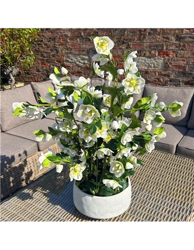 Hill Interiors Large White Hellebore In Grey Pot 23767