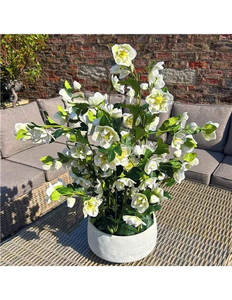 Hill Interiors Large White Hellebore In Grey Pot 23767