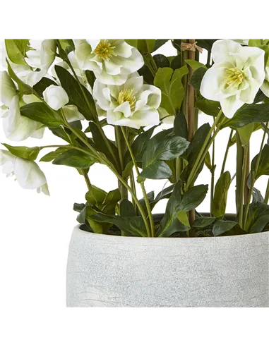 Hill Interiors Large White Hellebore In Grey Pot 23767