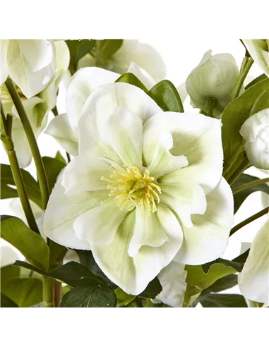 Hill Interiors Large White Hellebore In Grey Pot 23767
