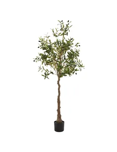 Hill Interiors Calabria Olive Tree 23079