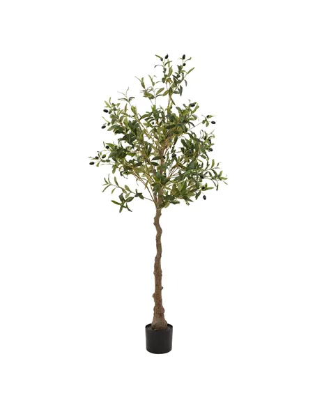 Hill Interiors Calabria Olive Tree 23079