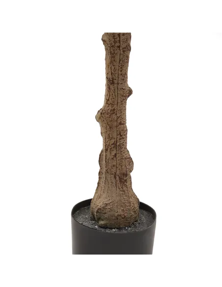 Hill Interiors Calabria Olive Tree 23079