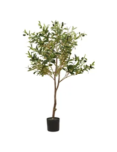 Hill Interiors Calabria Small Olive Tree 23080