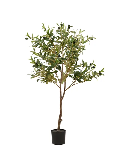 Hill Interiors Calabria Small Olive Tree 23080