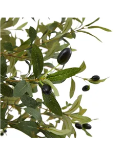 Hill Interiors Calabria Small Olive Tree 23080 2