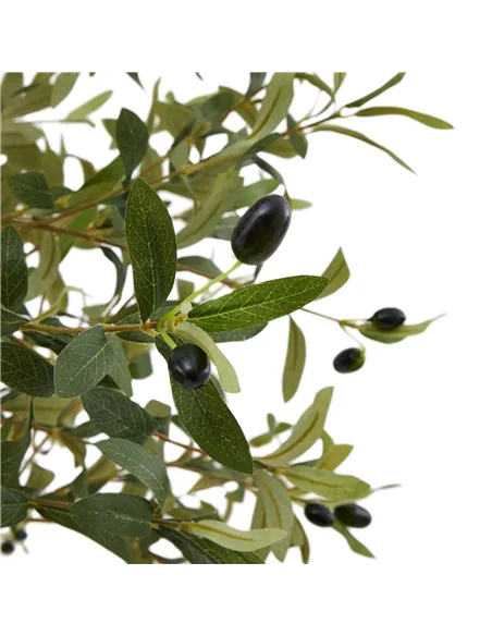 Hill Interiors Calabria Small Olive Tree 23080