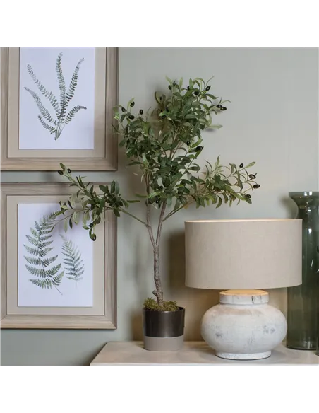 Hill Interiors Calabria Small Olive Tree 23080