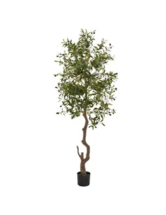 Hill Interiors Calabria Large Olive Tree 23081