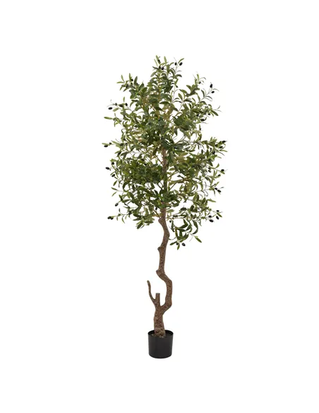 Hill Interiors Calabria Large Olive Tree 23081