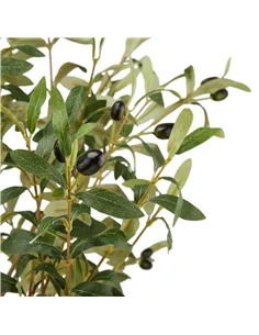 Hill Interiors Calabria Large Olive Tree 23081 2