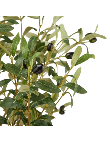 Hill Interiors Calabria Large Olive Tree 23081
