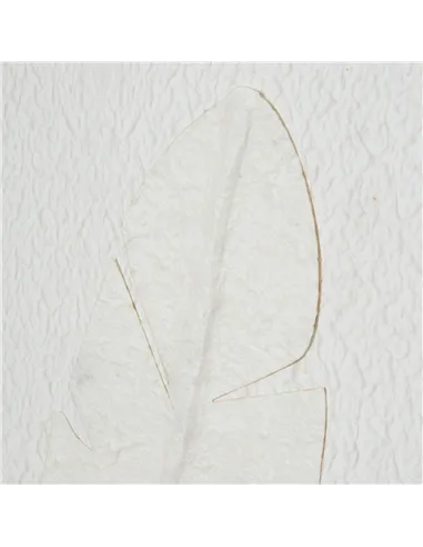 Hill Interiors Large Quill White Feather Art Mounted In Beaded Frame 23805