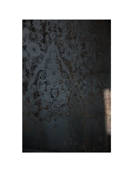 Hill Interiors Antique Etched foxed Wall Art Mirror 20854