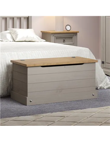 Core Products Corona Grey storage trunk