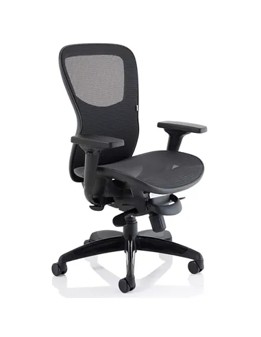 Dynamic Stealth Shadow Ergo Posture Heavy Duty Office Chair Black Mesh Seat And Back PO000021