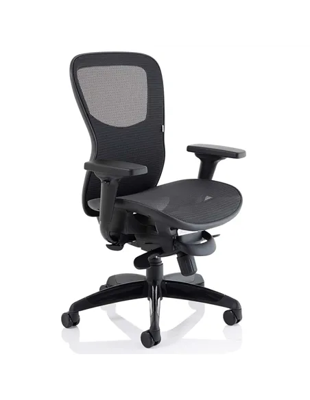 Dynamic Stealth Shadow Ergo Posture Heavy Duty Office Chair Black Mesh Seat And Back PO000021