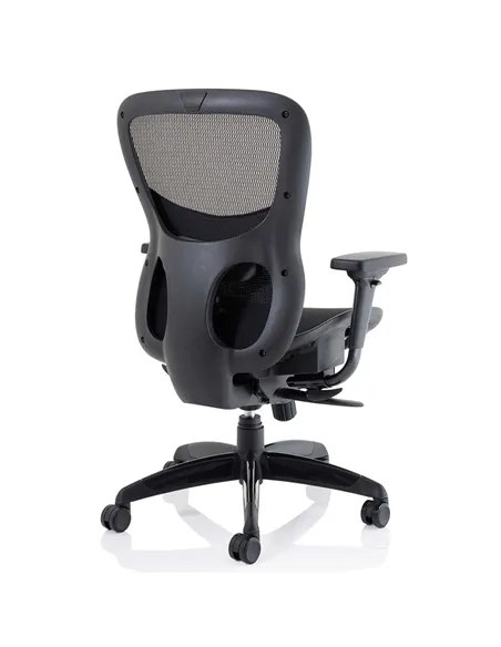 Dynamic Stealth Shadow Ergo Posture Heavy Duty Office Chair Black Mesh Seat And Back PO000021